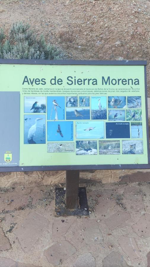 Vivienda Rural Las Moreas Baños de la Encina Екстериор снимка
